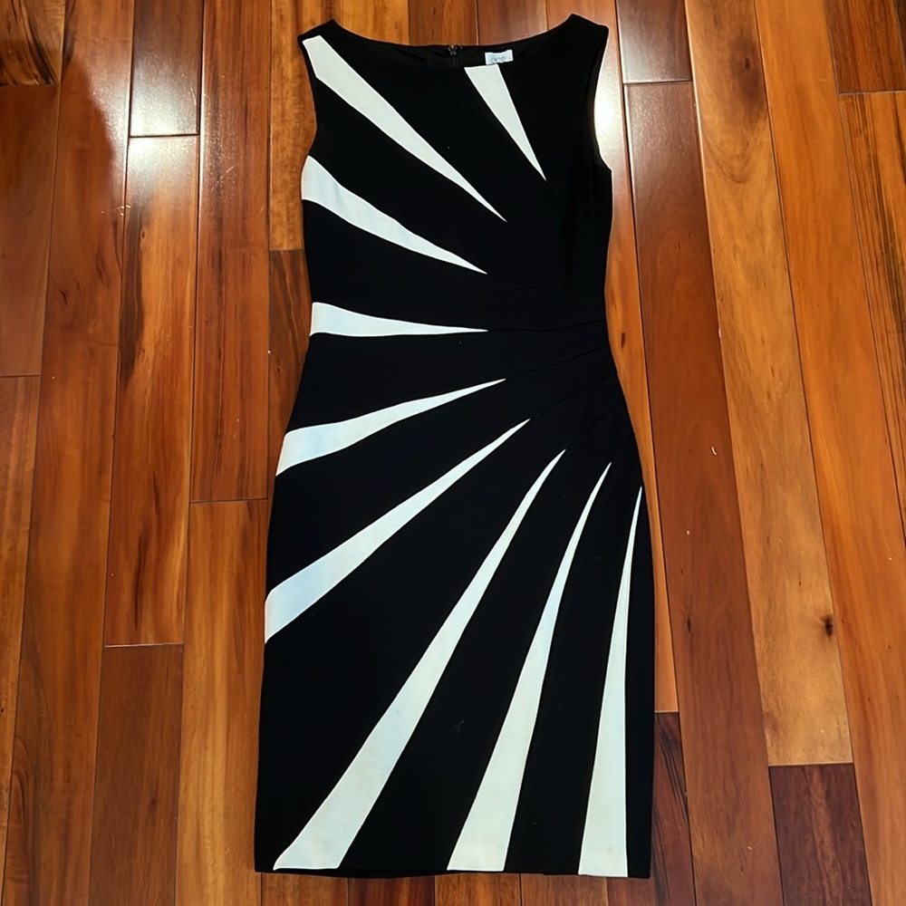 Cache Sunburst Dress